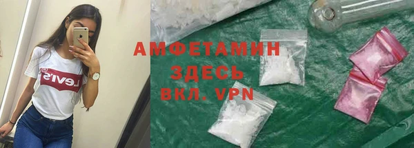 трава Карпинск