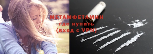 трава Карпинск