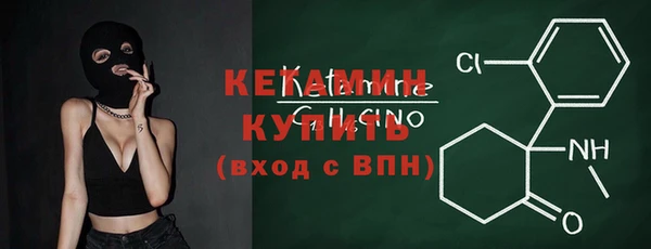 трава Карпинск