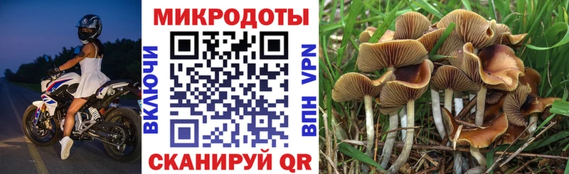 Галлюциногенные грибы прущие грибы  Купить закладки  Медвежьегорск 
